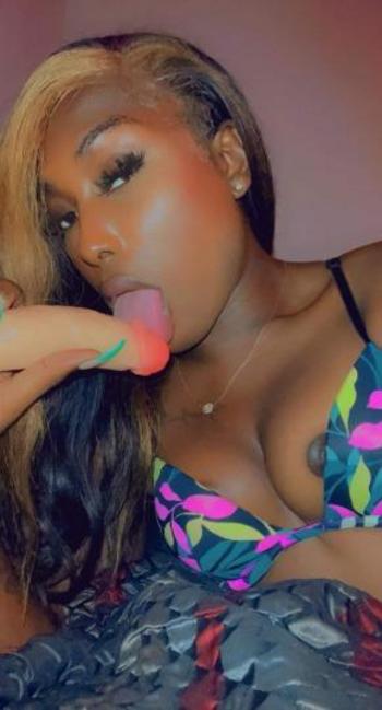 7865522498, transgender escort, Myrtle Beach